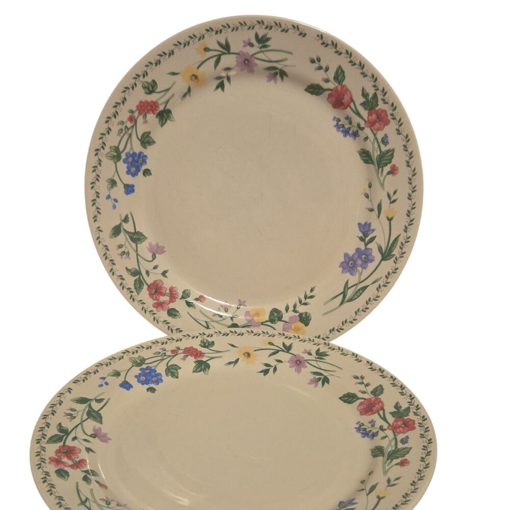 Farberware English Garden 4241 Stoneware Dinner Plates Set of 2 Floral Beige